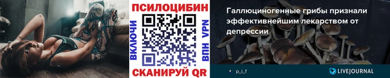 Псилоцибиновые грибы Cubensis  Купить где  Каменка 